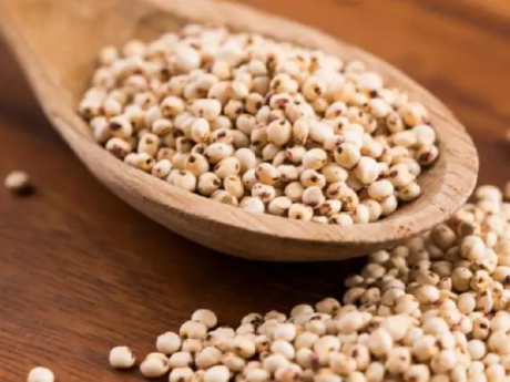 Jowar