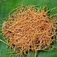 Millet Vermicelli