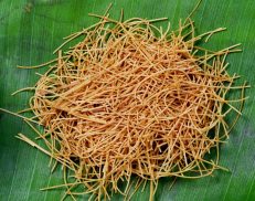 Millet Vermicelli