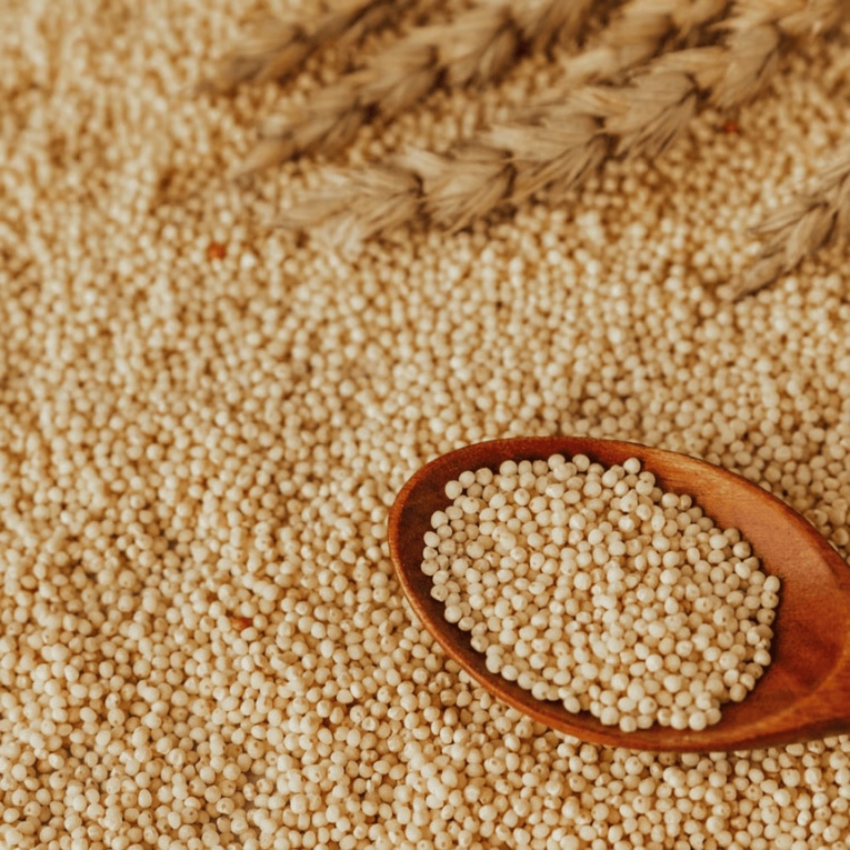 Proso Millet