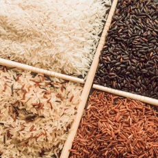 Traditional Rice Varieties